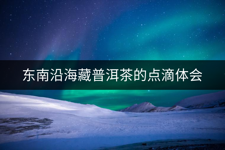 東南沿海藏普洱茶的點滴體會