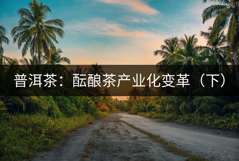 普洱茶：醞釀茶產(chǎn)業(yè)化變革（下）