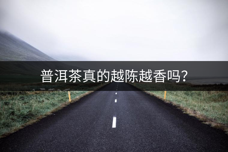 普洱茶真的越陳越香嗎？