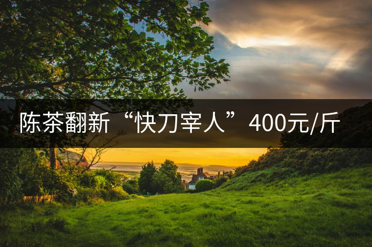 陳茶翻新“快刀宰人”400元/斤龍井成本僅40元