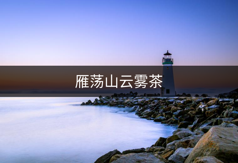 雁蕩山云霧茶
