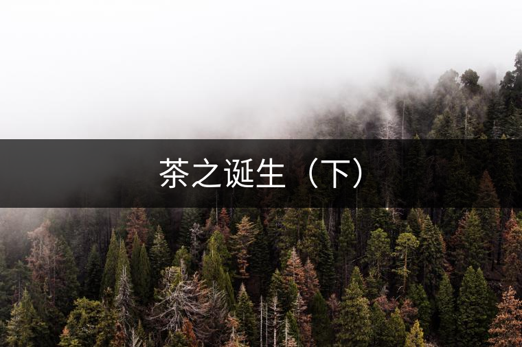 茶之誕生(下) 茶之誕生(下)