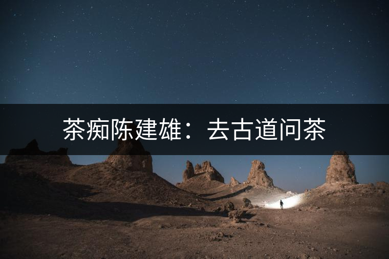 茶癡陳建雄：去古道問茶