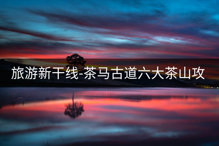 旅游新干線-茶馬古道六大茶山攻略