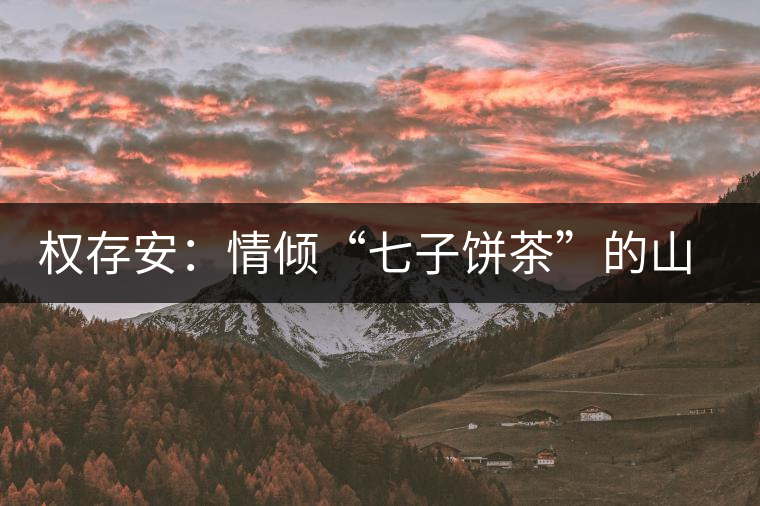 權(quán)存安：情傾“七子餅茶”的山里人