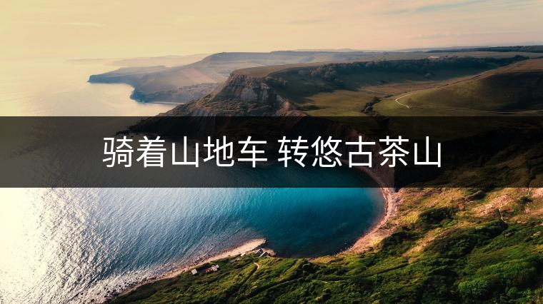 騎著山地車 轉(zhuǎn)悠古茶山 騎著山地車 轉(zhuǎn)悠古茶山