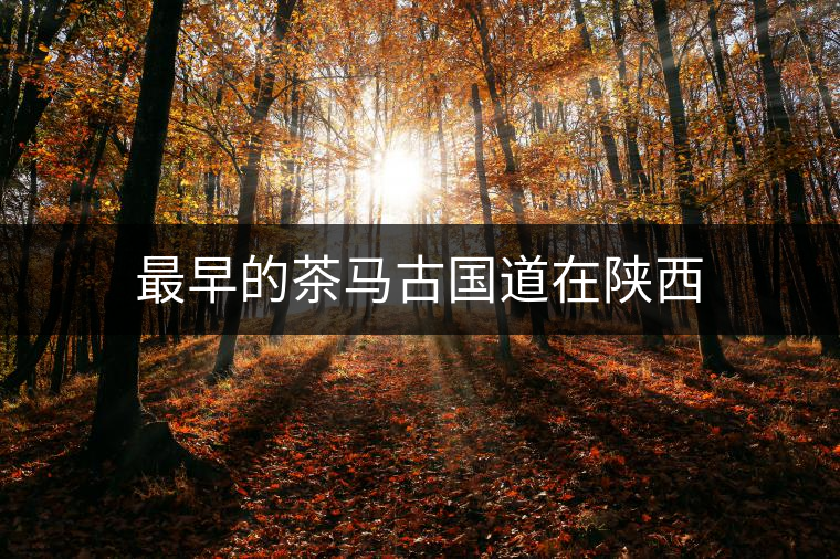 最早的茶馬古國道在陜西