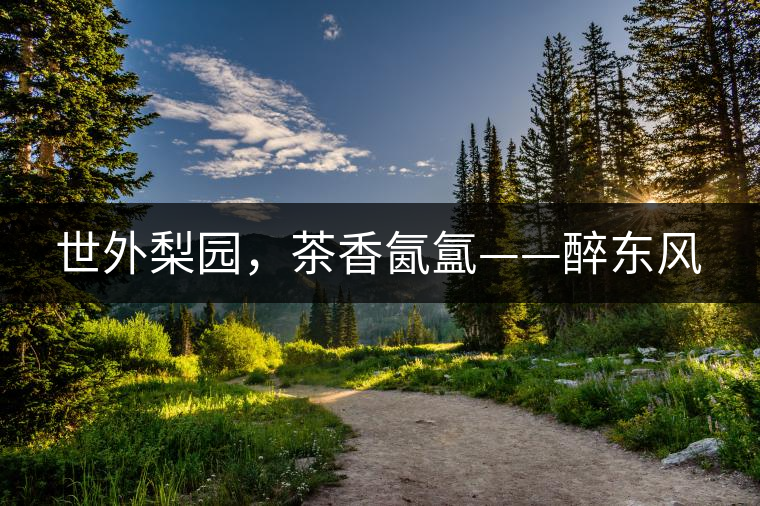 世外梨園，茶香氤氳——醉東風