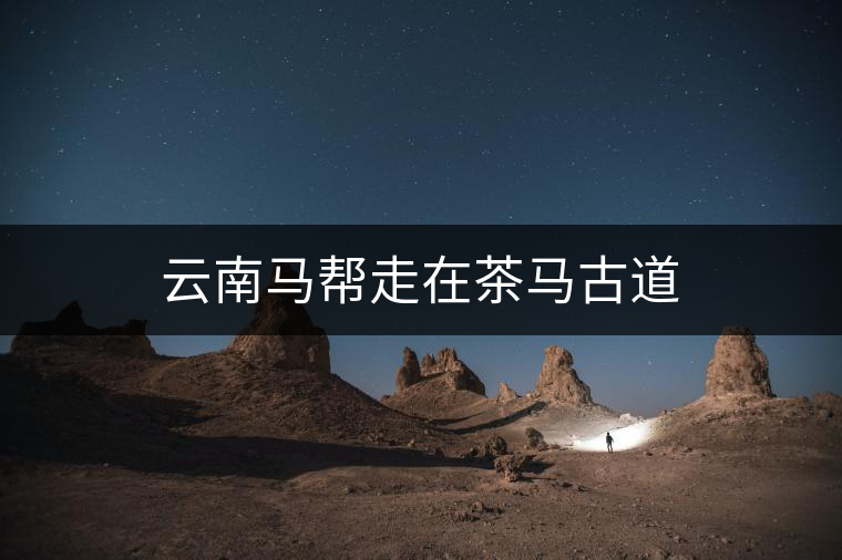云南馬幫走在茶馬古道