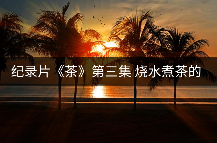 紀錄片《茶》第三集 燒水煮茶的事 紀錄片《茶》第三集 燒水煮茶的事
