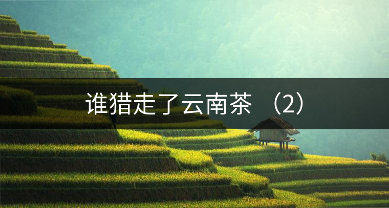 誰(shuí)獵走了云南茶 （2）