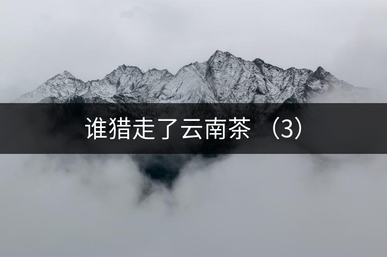 誰獵走了云南茶 （3）