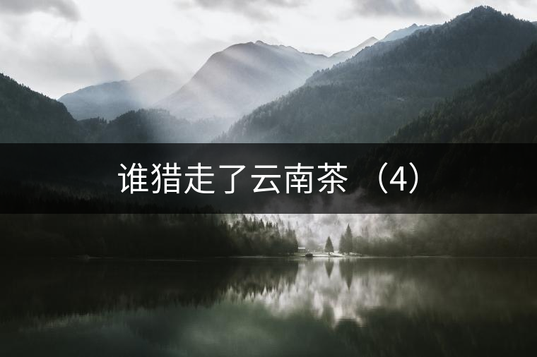 誰(shuí)獵走了云南茶 （4）