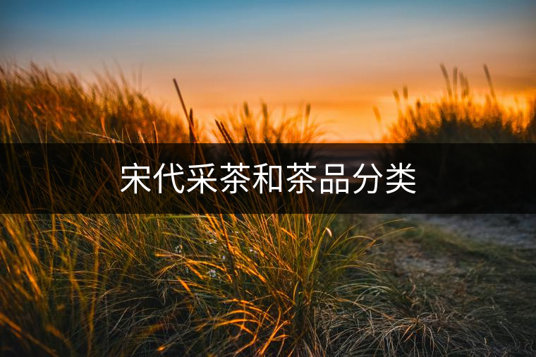 宋代采茶和茶品分類