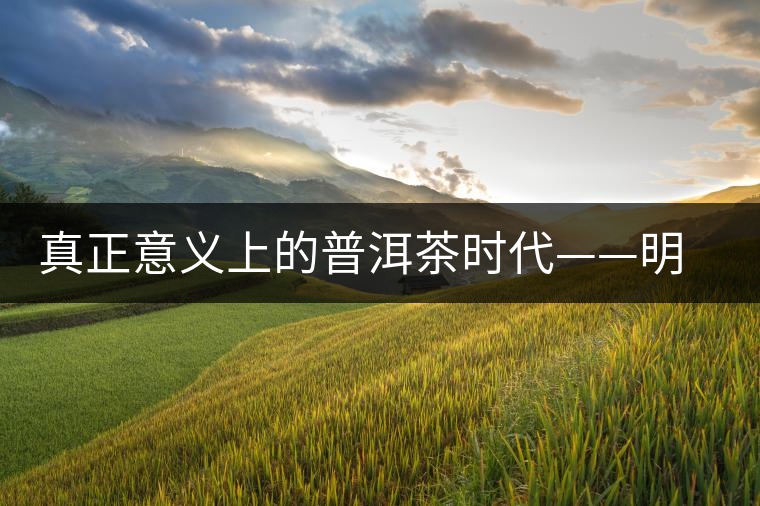 真正意義上的普洱茶時代——明朝