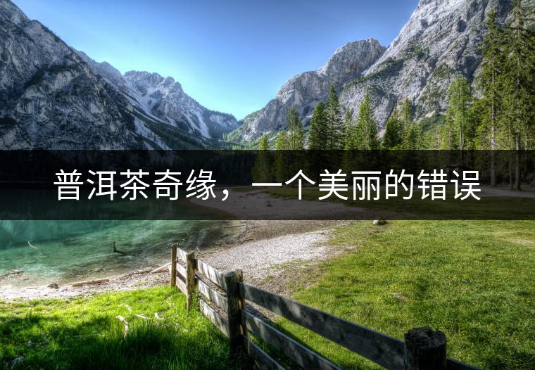 普洱茶奇緣，一個(gè)美麗的錯(cuò)誤