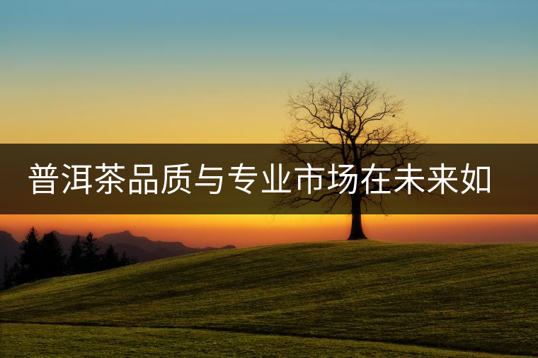 普洱茶品質(zhì)與專業(yè)市場在未來如此重要？