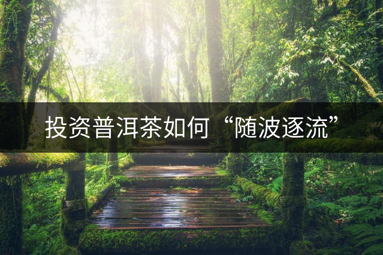 投資普洱茶如何“隨波逐流”
