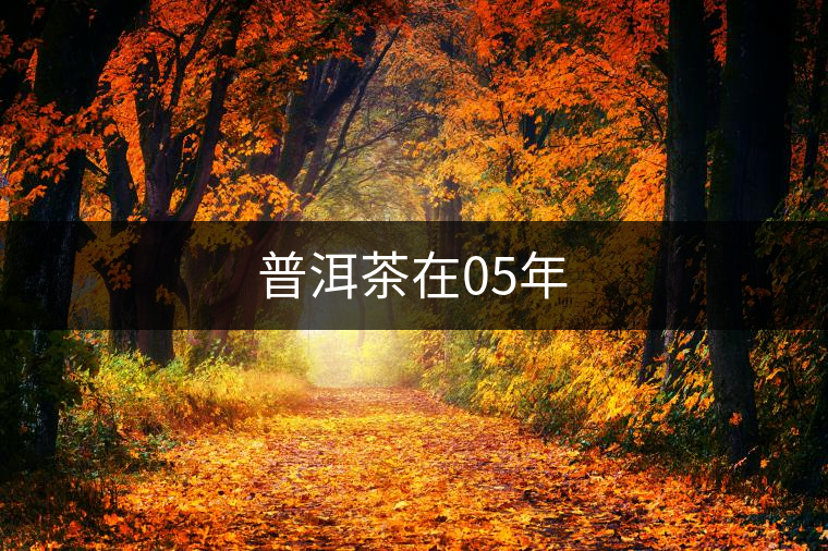 普洱茶在05年