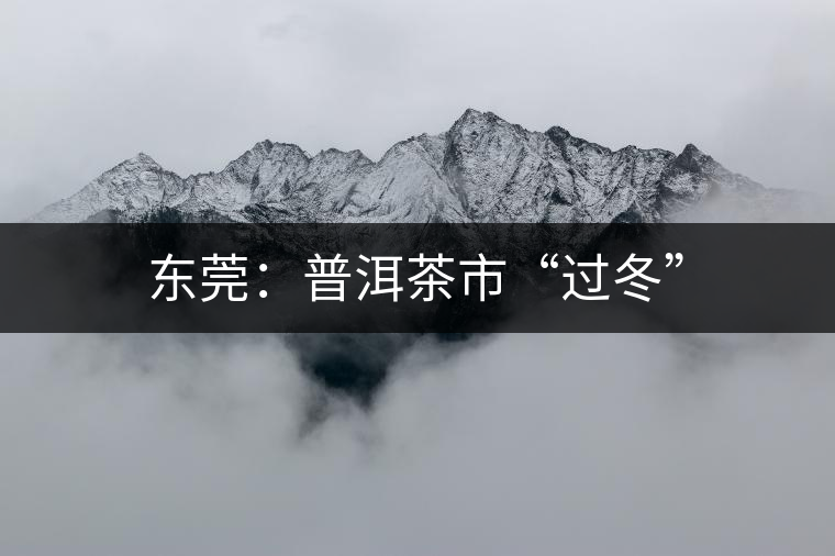 東莞：普洱茶市“過冬”
