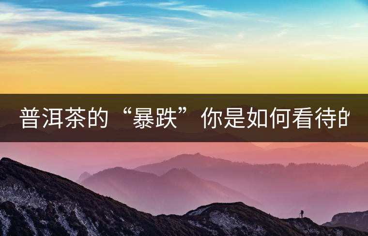 普洱茶的“暴跌”你是如何看待的？