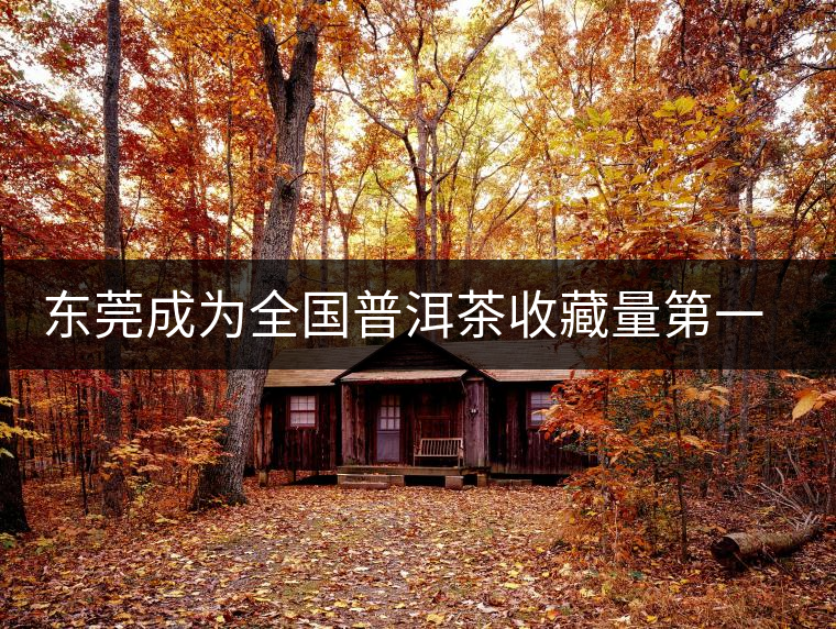 東莞成為全國(guó)普洱茶收藏量第一位的城市？