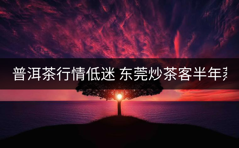 普洱茶行情低迷 東莞炒茶客半年蒸發(fā)370萬元