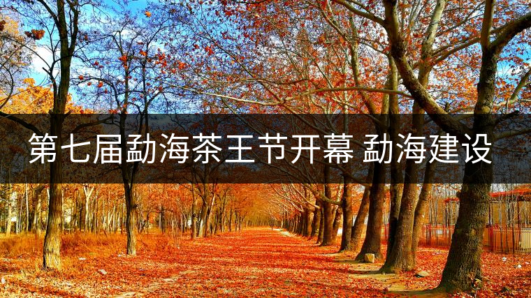 第七屆勐海茶王節(jié)開幕 勐海建設(shè)中國普洱茶第一縣 第七屆勐海茶王節(jié)開幕 勐海建設(shè)中國普洱茶第一縣