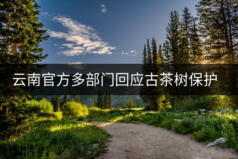 云南官方多部門回應(yīng)古茶樹(shù)保護(hù)問(wèn)題