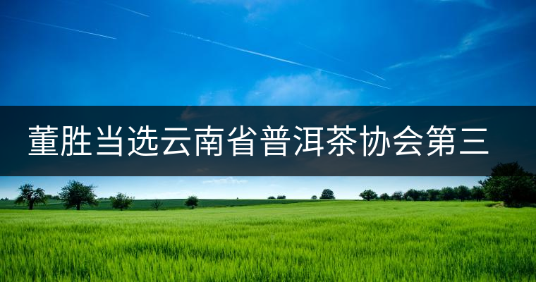 董勝當(dāng)選云南省普洱茶協(xié)會(huì)第三屆會(huì)長(zhǎng) 董勝當(dāng)選云南省普洱茶協(xié)會(huì)第三屆會(huì)長(zhǎng)