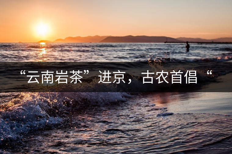 “云南巖茶”進(jìn)京，古農(nóng)首倡“名茶+名企”戰(zhàn)略