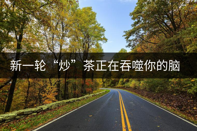 新一輪“炒”茶正在吞噬你的腦子，茶葉收藏不宜提倡