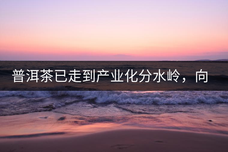 普洱茶已走到產(chǎn)業(yè)化分水嶺，向左還是向右？