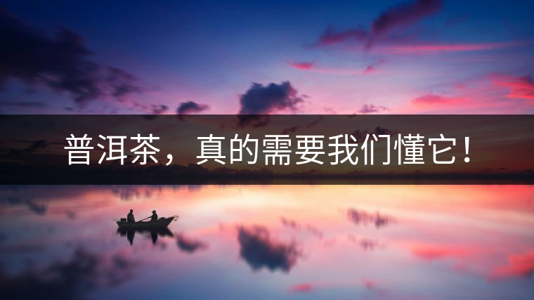 普洱茶，真的需要我們懂它！