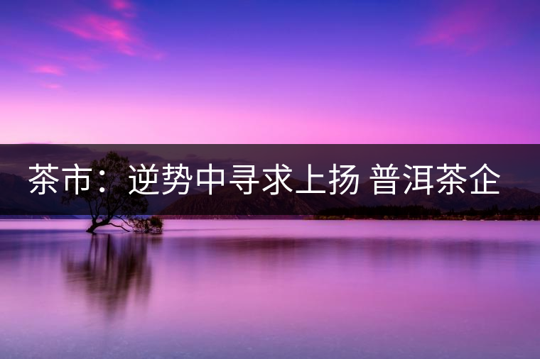 茶市：逆勢中尋求上揚(yáng) 普洱茶企靠什么打贏這場翻身仗？