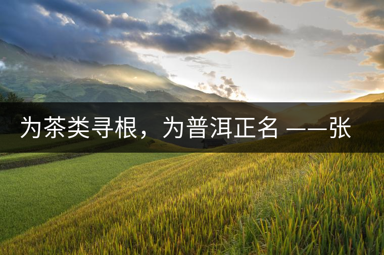 為茶類尋根，為普洱正名 ——張宏達先生的普洱茶研究