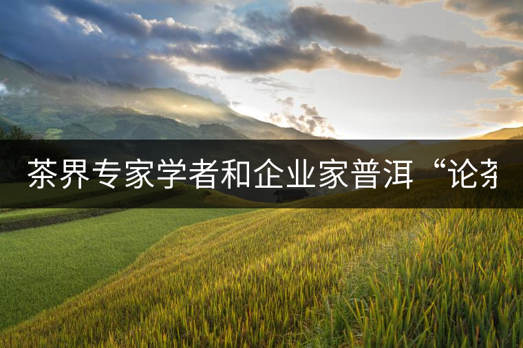 茶界專(zhuān)家學(xué)者和企業(yè)家普洱“論茶”