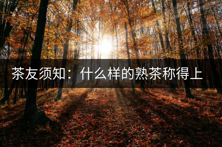 茶友須知：什么樣的熟茶稱得上是好熟茶？
