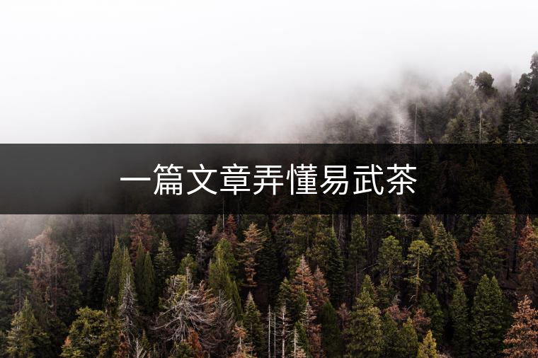 一篇文章弄懂易武茶 一篇文章弄懂易武茶