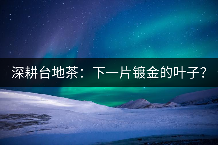 深耕臺(tái)地茶：下一片鍍金的葉子？