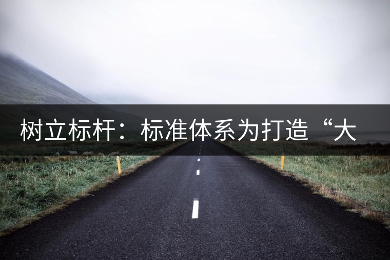 樹立標桿：標準體系為打造“大景邁”品牌保駕護航
