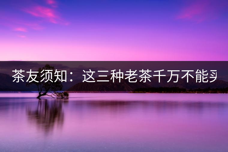 茶友須知：這三種老茶千萬不能買！