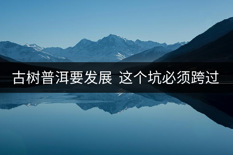 古樹普洱要發(fā)展  這個(gè)坑必須跨過去