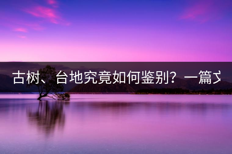 古樹、臺(tái)地究竟如何鑒別？一篇文章說透！
