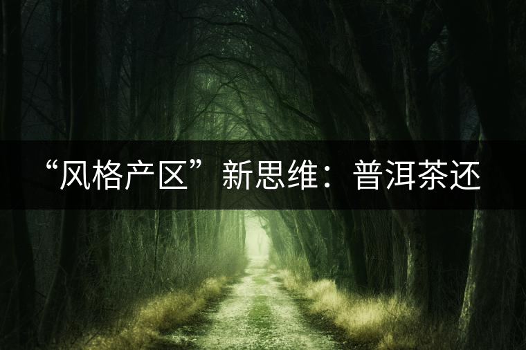 “風格產區(qū)”新思維：普洱茶還有無必要再區(qū)分山頭？