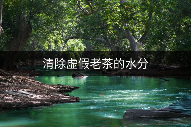 清除虛假老茶的水分