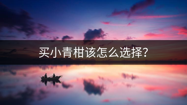買小青柑該怎么選擇？