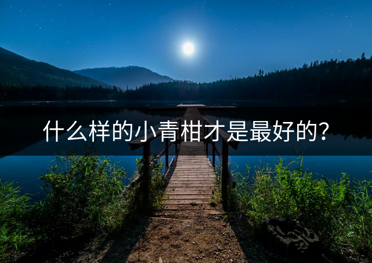 什么樣的小青柑才是最好的？