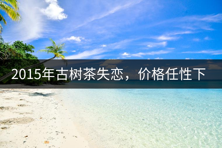 2015年古樹茶失戀，價格任性下降約20%