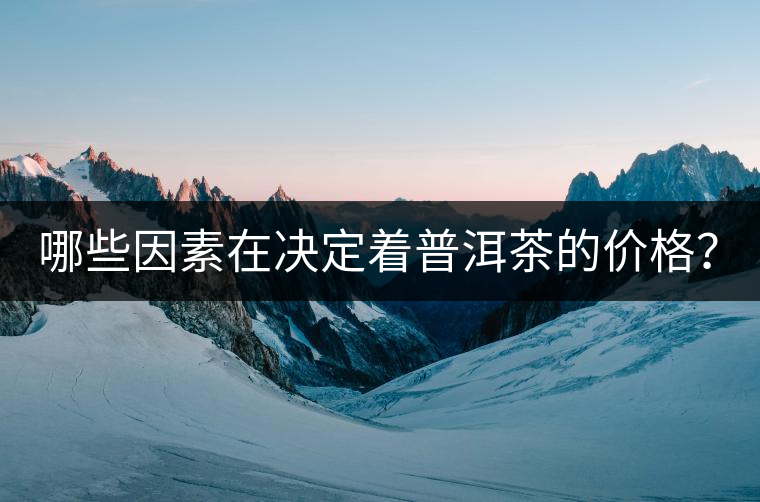 哪些因素在決定著普洱茶的價(jià)格？